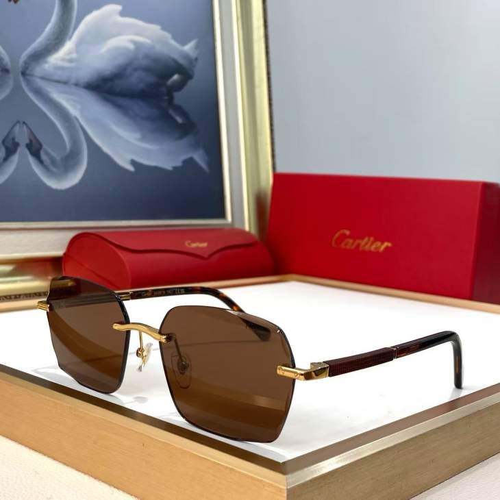 Picture of Cartier Sunglasses _SKUfw79616063fw